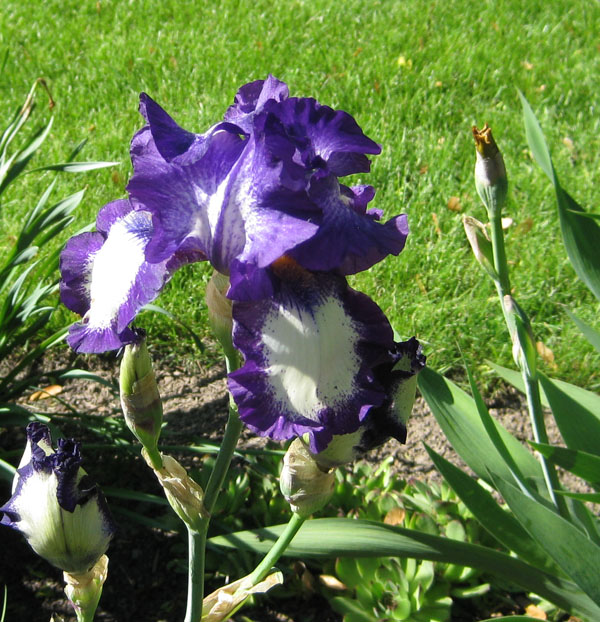 IMG_0224_sm.jpg